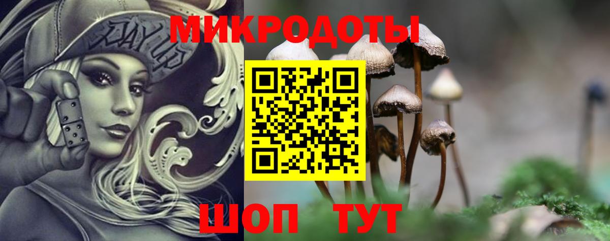 Псилоцибиновые грибы Psilocybe  Вход с VPN  Галлюциногенные грибы Magic Shrooms  Кохма 