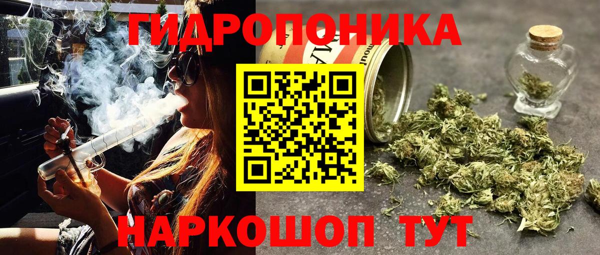 Кохма  Канабис ГИДРОПОН  МАРИХУАНА тримм  Канабис LSD WEED  Вход с VPN  Канабис Bruce Banner 